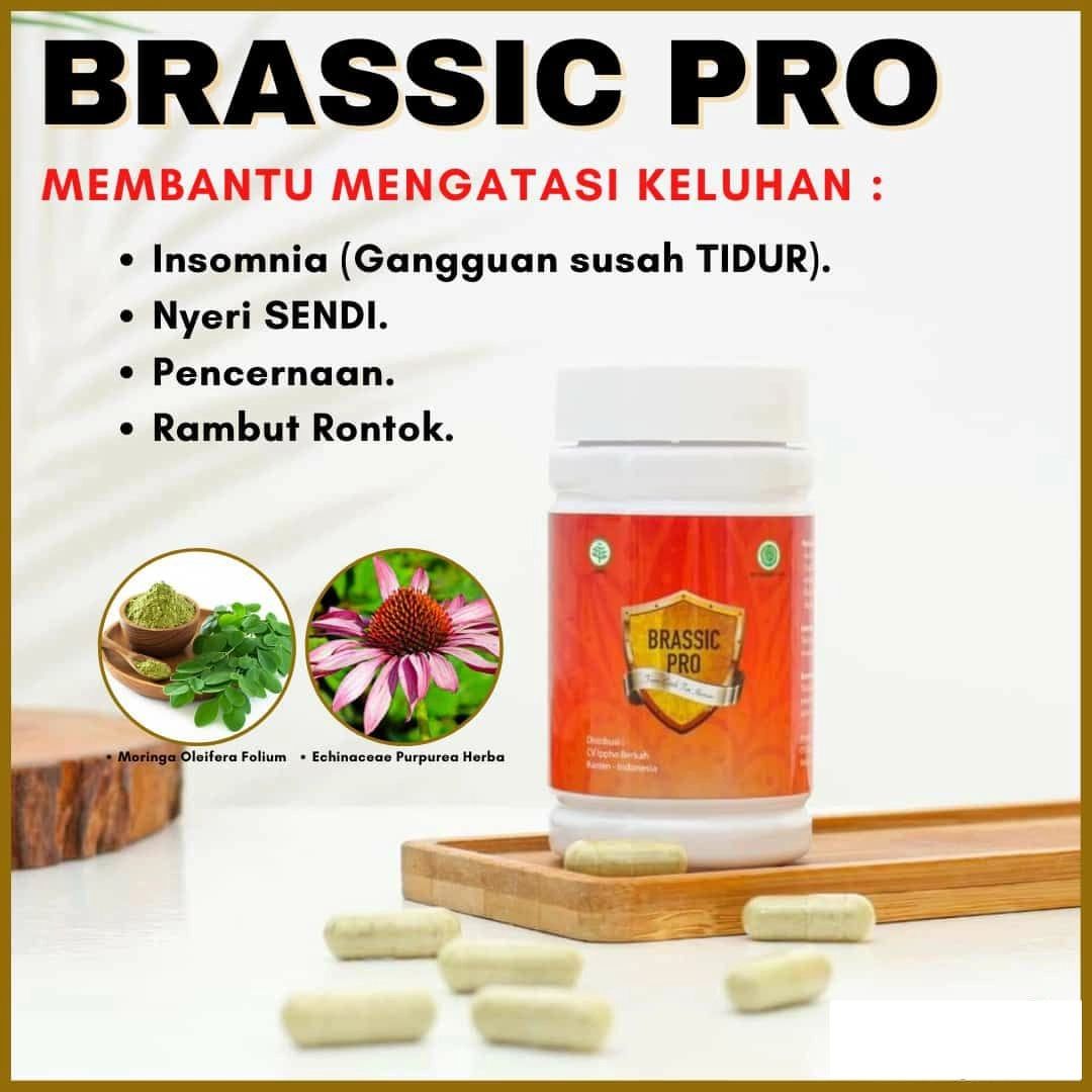 Jual Brassic Pro Asli 081231329540